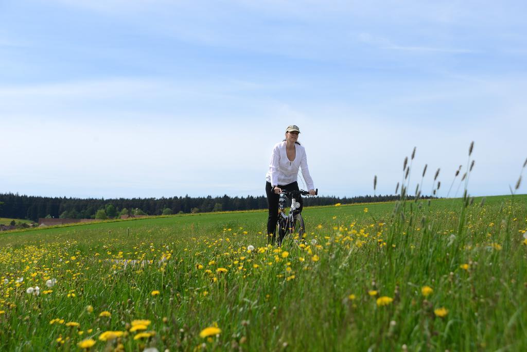 Hotel Krone Igelsberg フロイデンシュタット エクステリア 写真